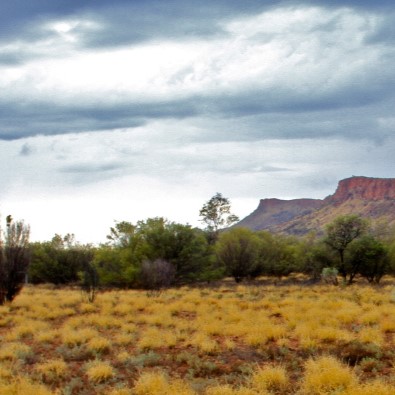 An NT landscape after rain; photo credit: David Morris, EDO NT