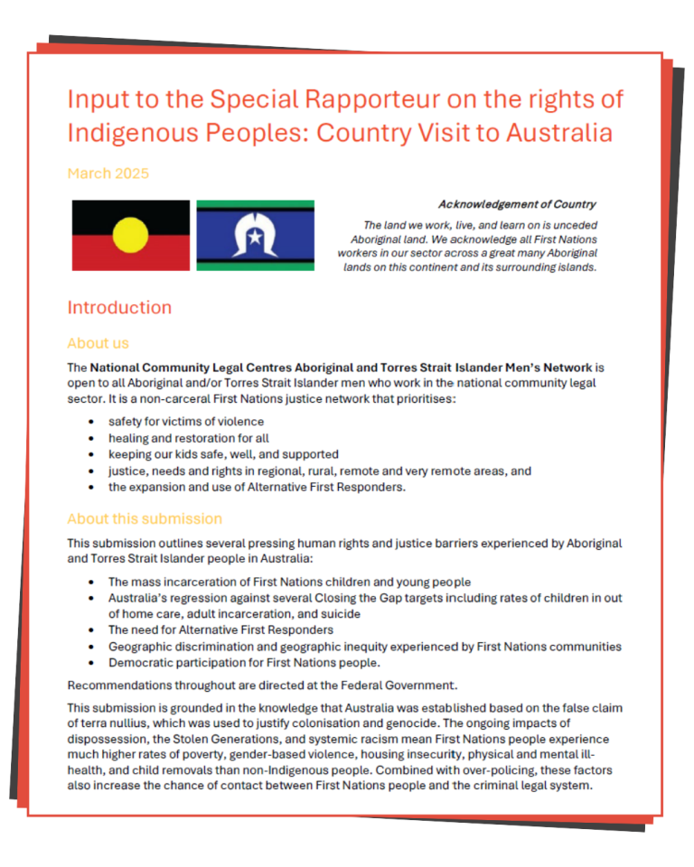 Front cover of the submission to the special rapporteur