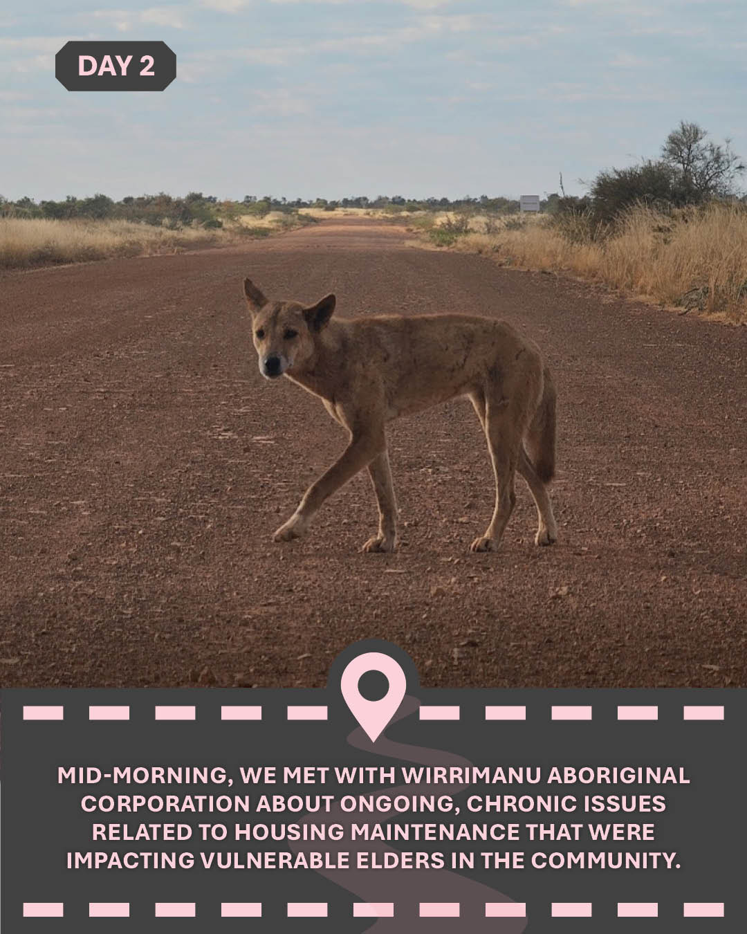 Image of a dog on a red dirt road, with text "Mid-morning, we met with Wirrimanu Aboriginal Corporation about ongoing, chronic issues related to housing maintenance that were impacting vulnerable Elders in the community."