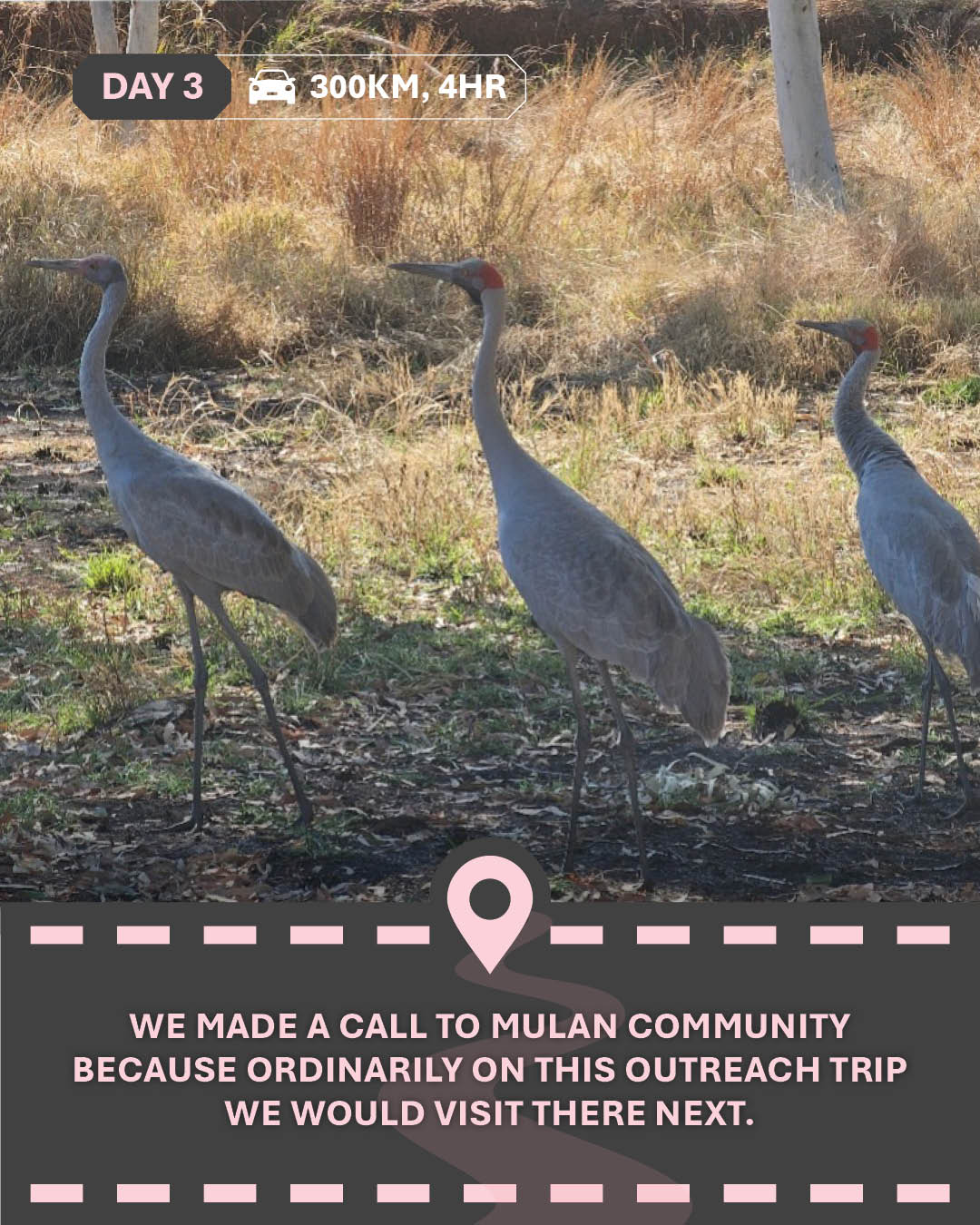 Image of three birds, with text "We made a call to Mulan Community because ordinarily on this outreach trip we would visit there next."