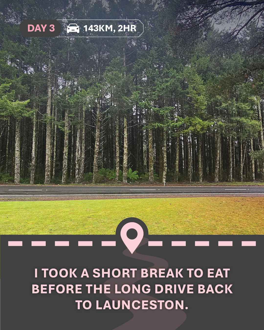 Image of grass, in front of a road, in front of a forest, with text "I took a short break to eat before the long drive back to Launceston."