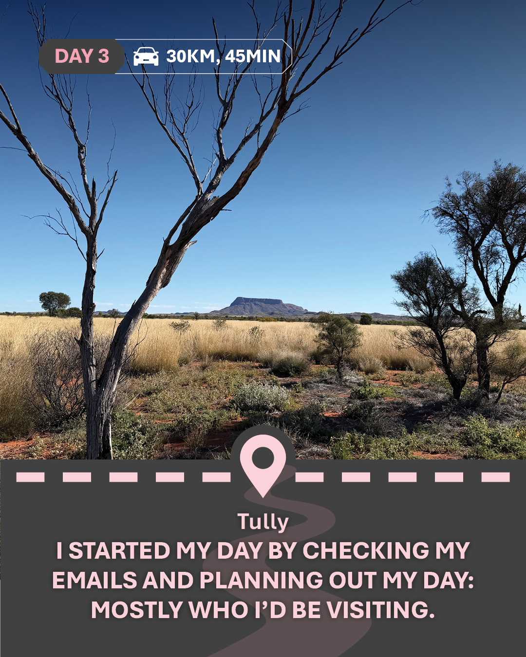 Image of desert grasses with trees in front, with text "Tully: I started my day by checking my emails and planning out my day: mostly who I’d be visiting. "