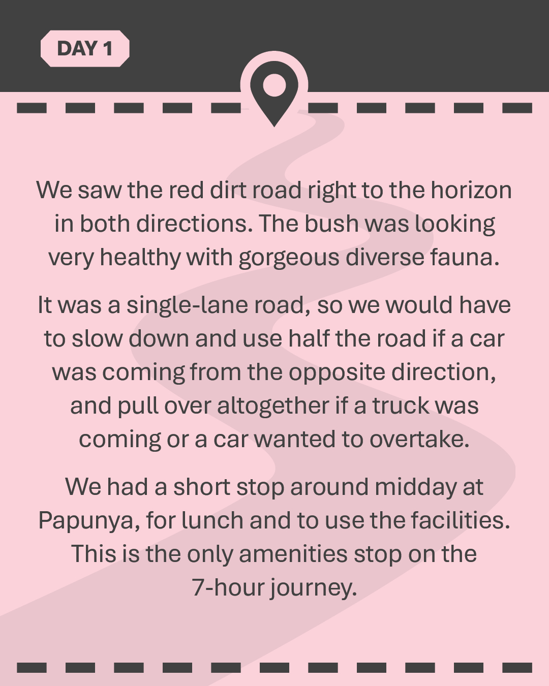 We saw the red dirt road right to the horizon in both directions. The bush was looking very healthy with gorgeous diverse fauna. It was a single-lane road, so we would have to slow down and use half the road if a car was coming from the opposite direction, and pull over altogether if a truck was coming or a car wanted to overtake. We had a short stop around midday at Papunya, for lunch and to use the facilities. This is the only amenities stop on the 7-hour journey.